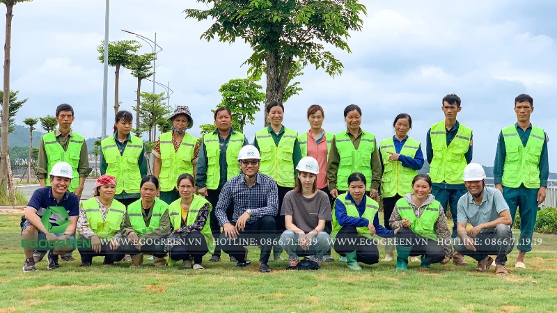 Các công ty thiết kế và thi công sân vườn tốt nhất miền Bắc